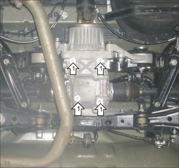 Photo 4
