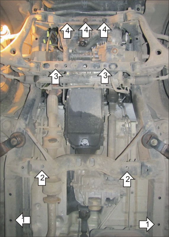 Photo 5