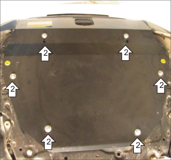 Photo 4