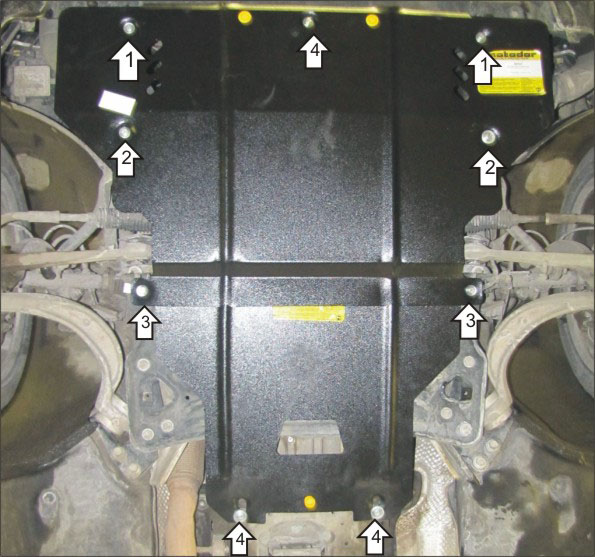 Photo 4