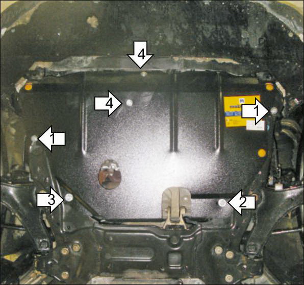Photo 4